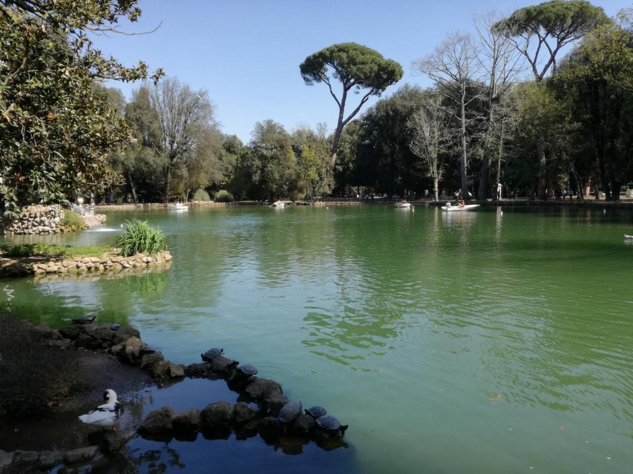 Affittacamere Borghese Roma